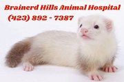Picture - Brainerd Hills Animal Hospital