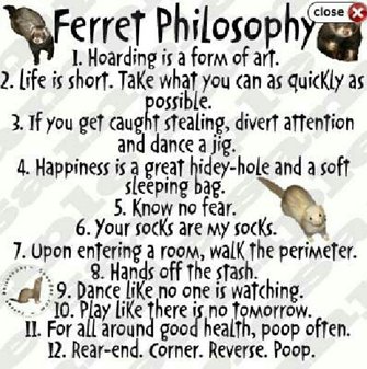 PIC - Ferret Philosophy